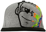 VR46 Cap Dottorino 351905 grau