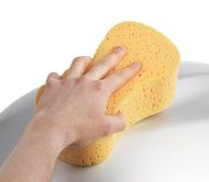 Jumbo Sponge - Box of 12 