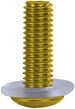 Oxford Screen Screws - gold Schrauben
